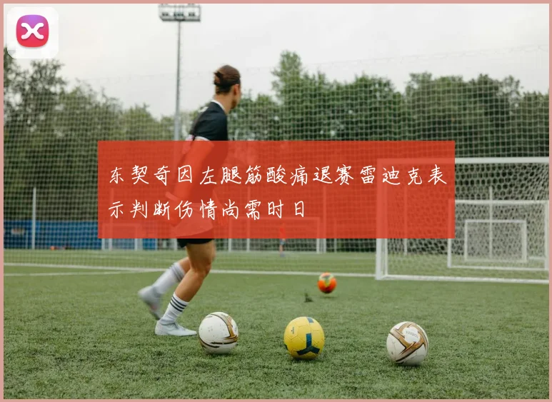 东契奇因左腿筋酸痛退赛雷迪克表示判断伤情尚需时日